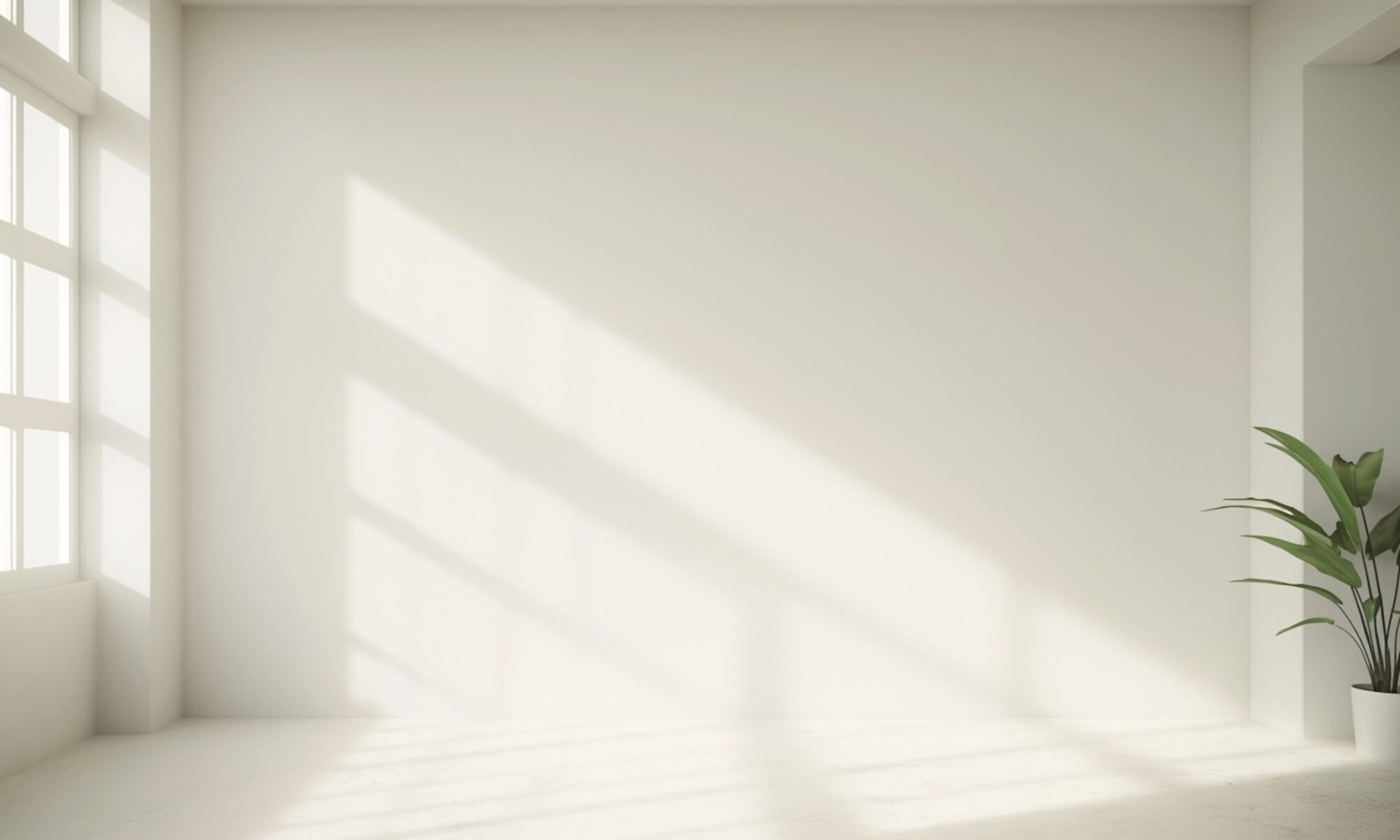 Minimalistischer weißer Raum mit weichem Licht und einer kleinen grünen Pflanze im Hintergrund.